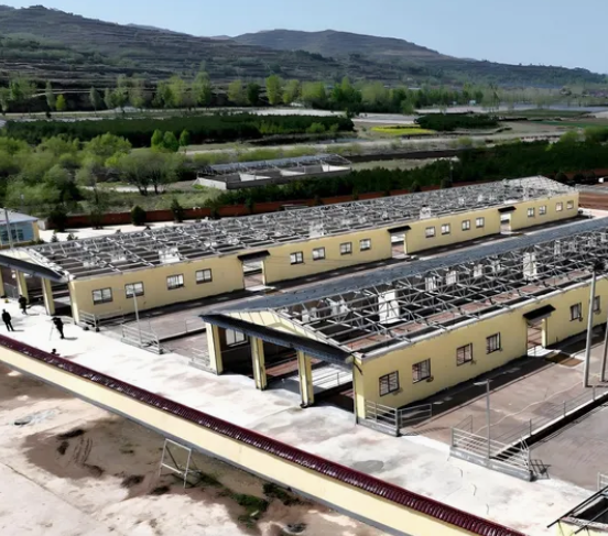 High-Efficiency Integrated Poultry House with Automated Feeding and Forced Ventilation