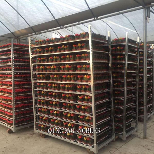 Flower Logistics Turnover Standard Danish Container Flower Trolley Plywood Material