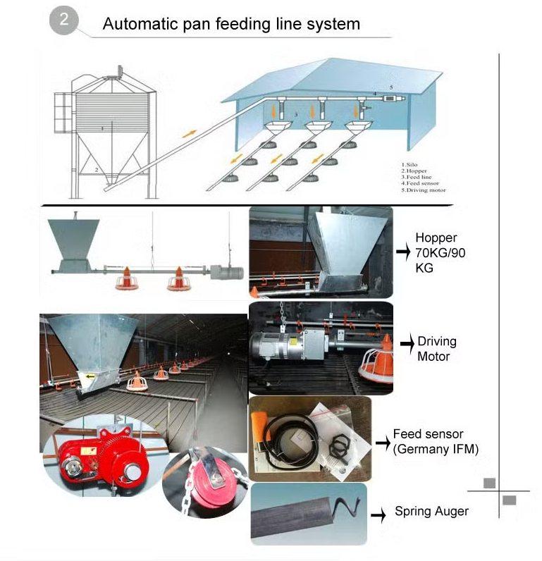 Modular Structure Automatic Pan Feeding System for High Energy Efficiency Broiler Floor Farming with Quick Assembly