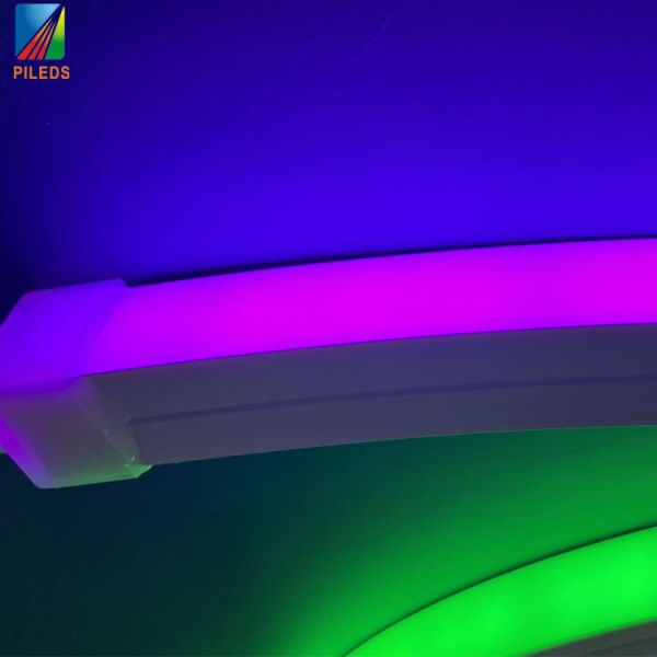 Custom 12v 24v LED Neon Strip Light , Silicone Flexible Rope Light Ws2811