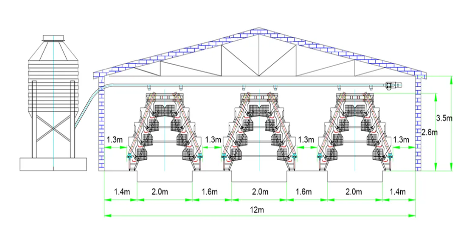 20000 Capacity Automatic H Type Battery Layer Chicken Cage with Tropical Zone Adaptation and Superior Ventilation