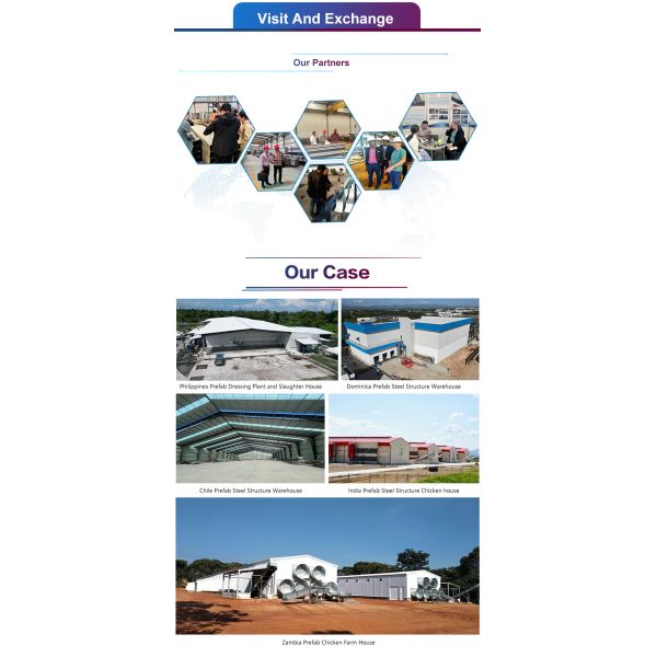 Large Span Steel Structure Chicken house Customizable for Poultry Farming