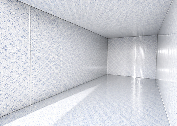 Containerized Modular Cold Room with Dehumidification | Humidity Controlled Cold Storage