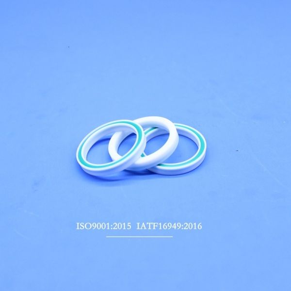 PTFE Sealing Rings Reciprocating Pump Piston Ring Sealing Rings Flooding Seals