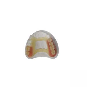 China Natural Look Rubber PFM Dental Crown 3D Printer Dental Laboratory on sale