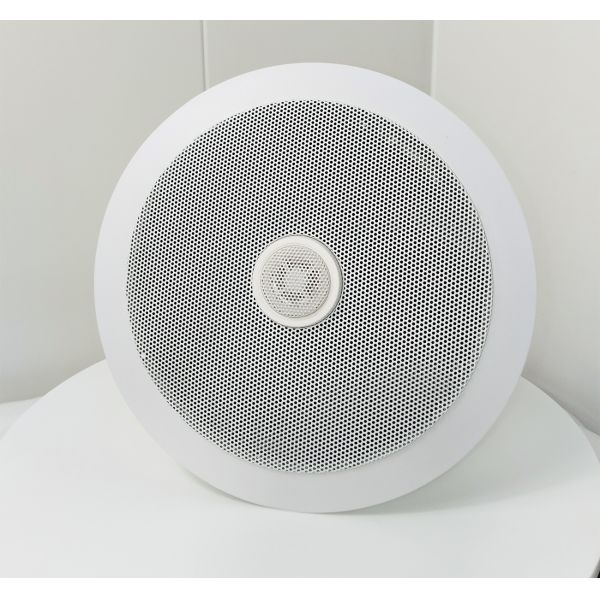 ODM Ceiling Speaker 100V/70V 5 Inch Coaxial Speaker With Rotatable Eyeball Tweeter