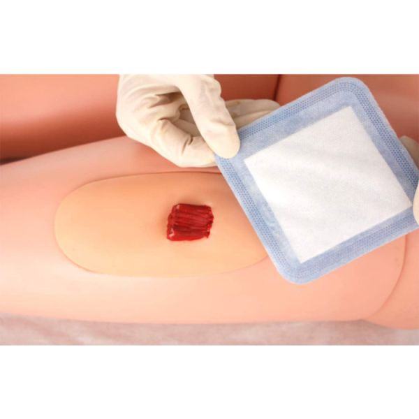 Super Absorbent Wound Dressing, with Non-Adherent Contact Layer, 4'' x 4'', 10 Count