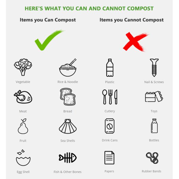 CE 100KG/Day Food Waste Composting Machine