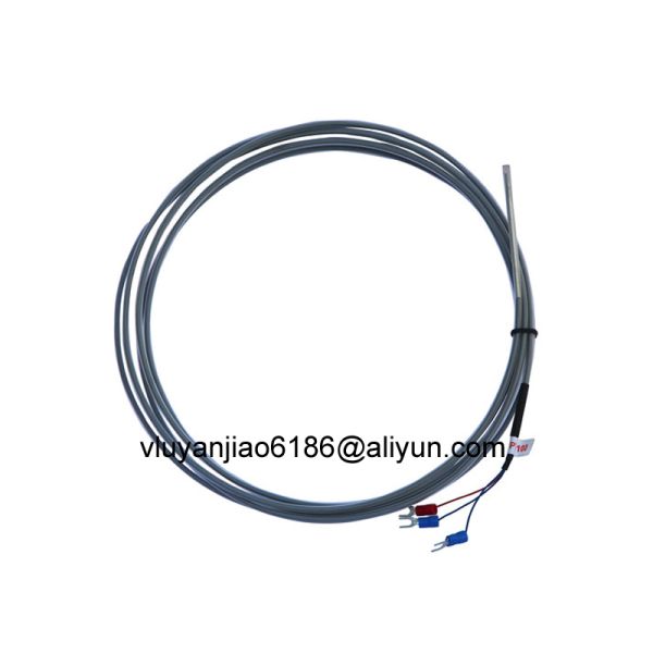 PTFE PT100 Temperature Probe For Acid Heating Corrosive Chemical Heating
