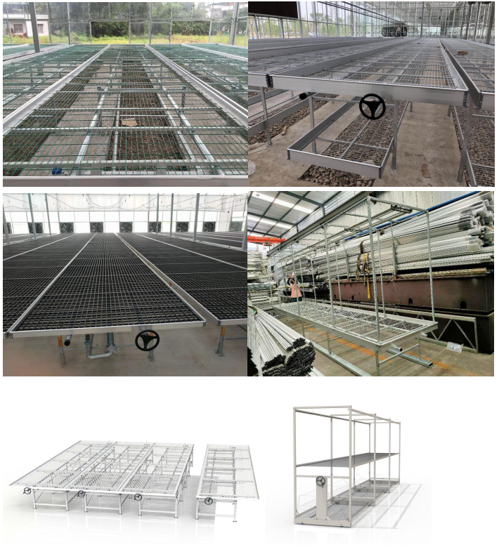 Agricultural Commercial Indoor Mesh Wire Greenhouse Grow Table Rolling Bench For Seeding