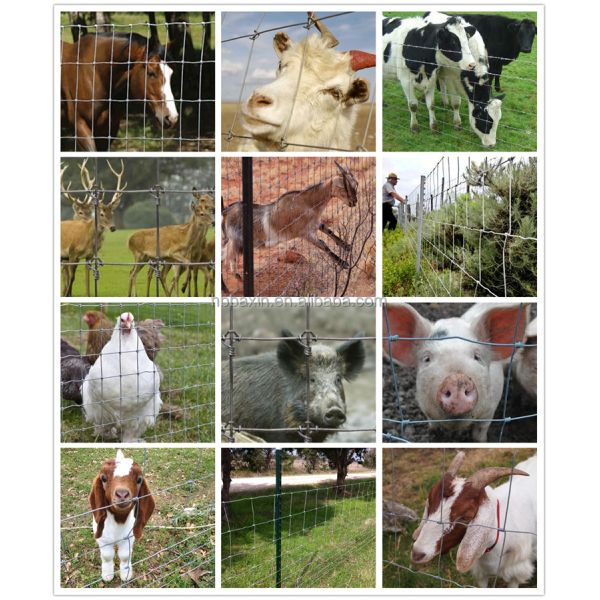 galvanized 5 6 7 8 ft fixed knot deer cattle fence on farm field fence