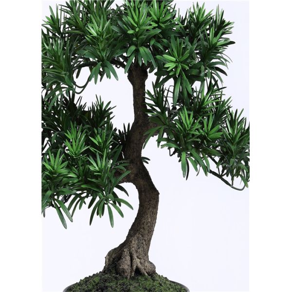 Delightful Artificial Plants Bonsai , Unique Bonsai Trees Cedrela Odorata Exotic Display
