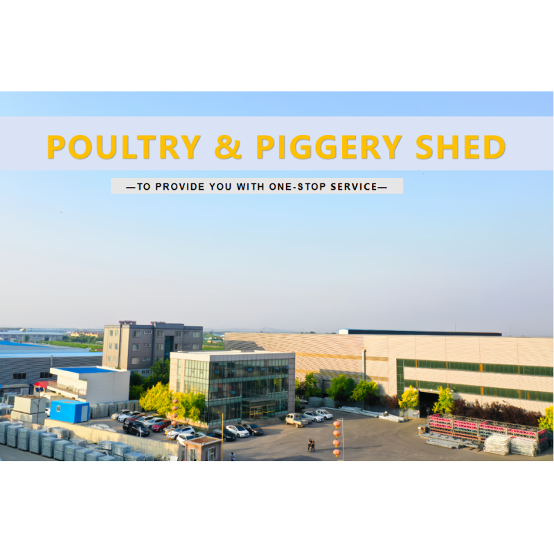 Fast Build Steel Structure Hog House / Hog Shed Customized