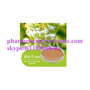 China Hot Sale Manufacturer Natural Herbal Extract Field Dodder Extract Powder on sale