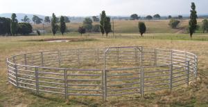 Buy cheap Livestock Panels 6 Oval Bar Low Hog Wire Fencing Cattle Galvanized Livestock Fence Panels product