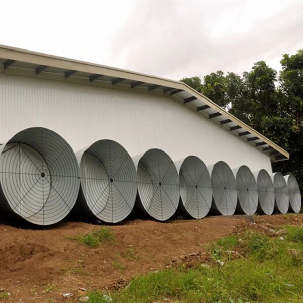 Broiler Poultry Farm Equipment with Automatic Feeding System, Environment Control, and Cooling Pad for Chicken House