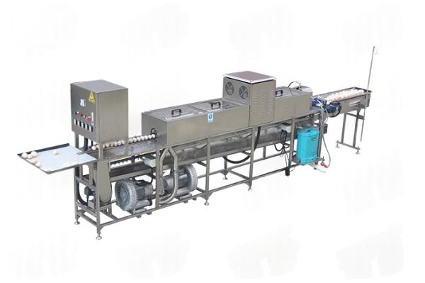Sanitizer Sprayer Egg Washing Drying Machine With 3000 Eggs/Hour Capacity