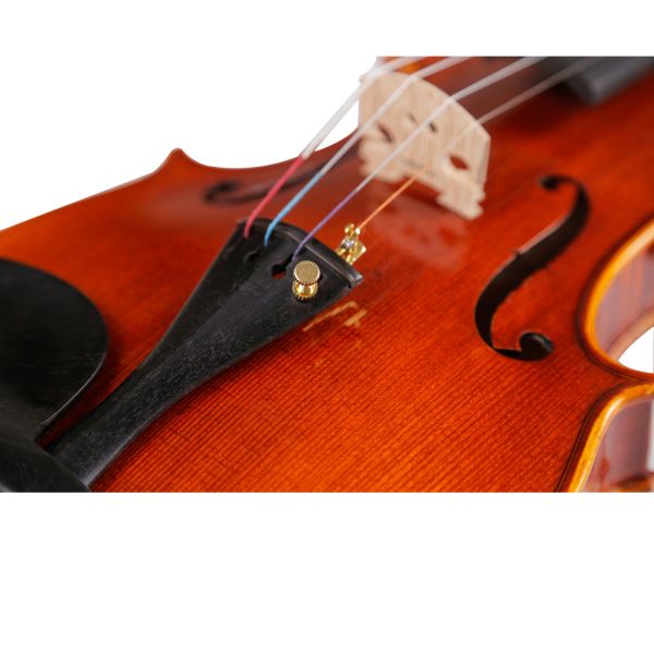 Violin china play Beethoven Violin Sonata No.5 Universal Violin Accessories Professional Use Classical Box For Violin
