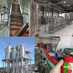 Final Package PP Container Turnkey Solution for Advanced Tomato Processing Line