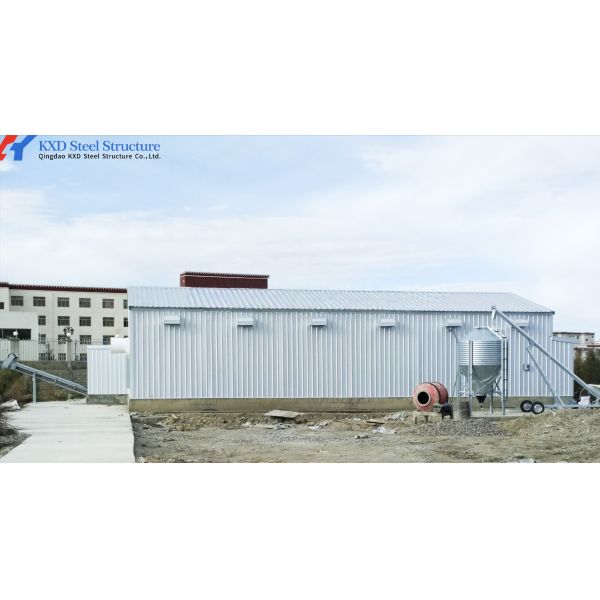 Hot-dip Galvanized Automatic Broiler Chicken Cage System with Adjustable Vents and Corrosion Resistant Design