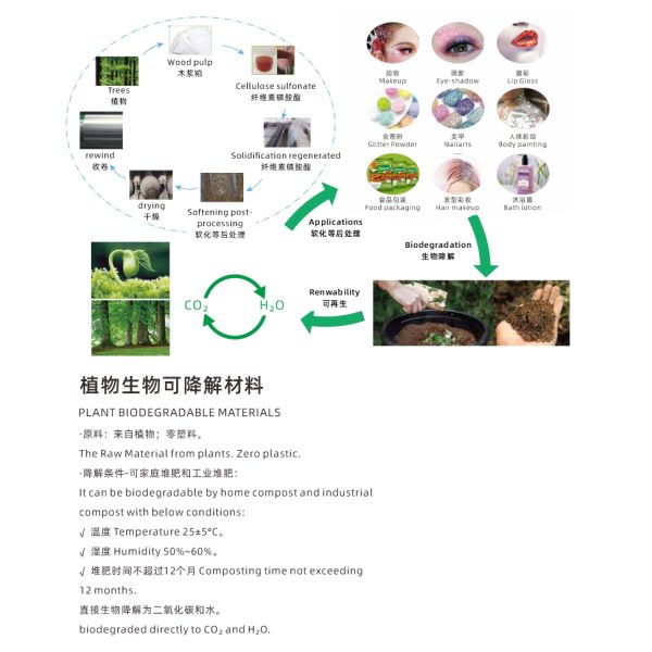 Christmas Plant Cellulose Biodegradable Glitter For Face Hexagonal High Degradation