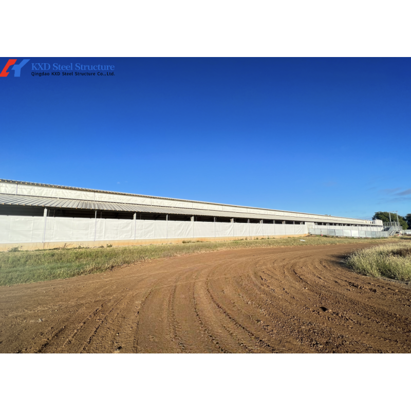 Fast Build Steel Structure Poultry Shed Construction Customized