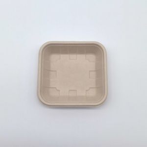 Buy cheap Compostable Biodegradable Bagasse Tableware Disposable Rectangular Shape product