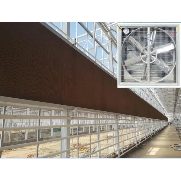Hot Dip Galvanized Steel Tube Frame Multi Span Agricultural Greenhouse