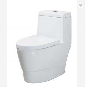 China Comfort Height Siphonic One Piece Bathroom Toilet Dual Flush Single Piece Closet on sale