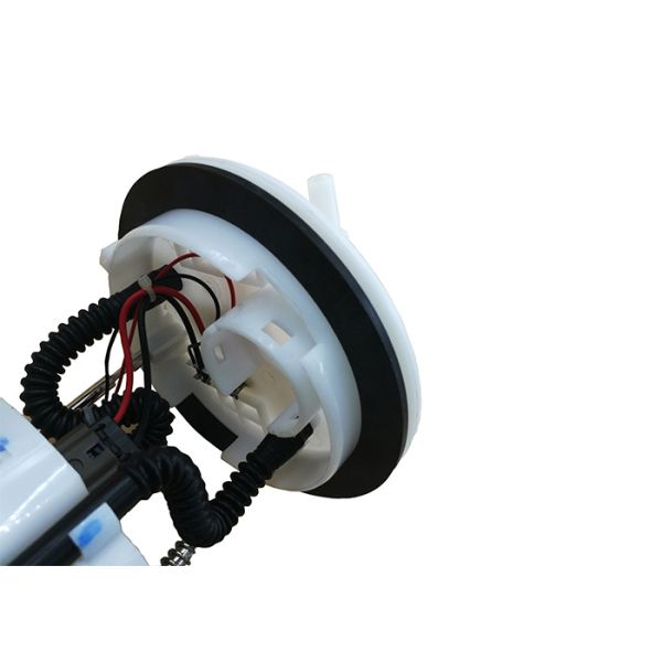 PW826330 Electric Fuel Pump Assembly For Proton Saga BLM 1 Year Warranty