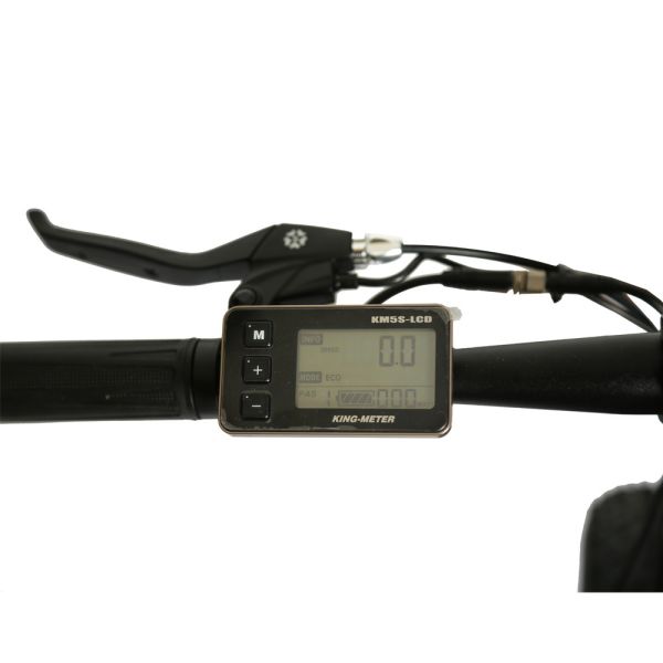 30-50Km/h Max Speed 7 Speed Fat Tyre Mountain Electric Bike with 3 Hours Charging Time