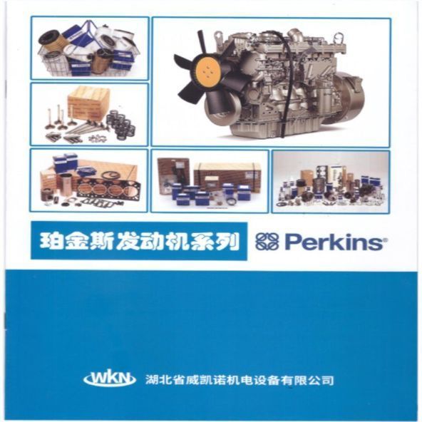 2645K015 Diesel Fuel Injector Assembly High Durability Professional