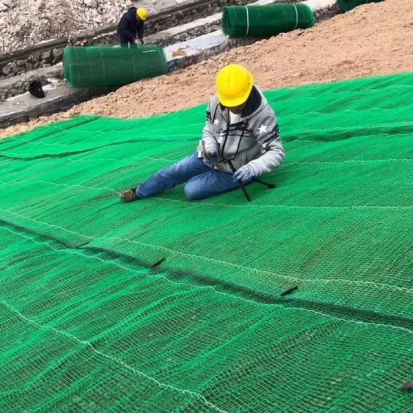 Durable Plastic Geonet for Highway Subgrade Reinforcement Crack Prevention and Load Distribution