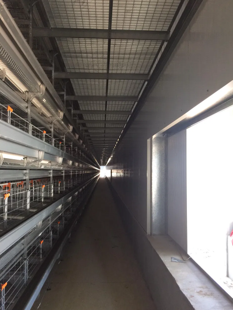 Hot-Dip Galvanized Prefabricated Steel Poultry House with Customizable Dimensions for Chicken Farms