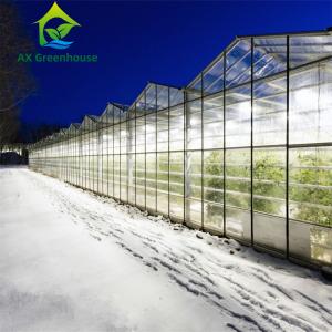 China Venlo Winter Glass Tomato Greenhouse on sale