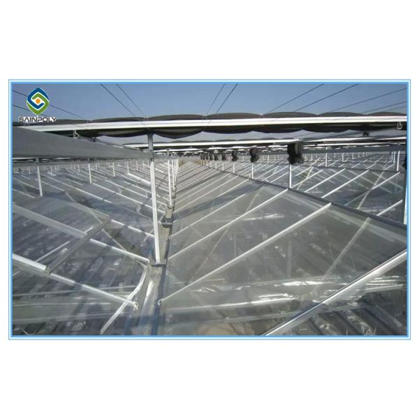 Hydroponic Venlo Glass Greenhouse Customizable