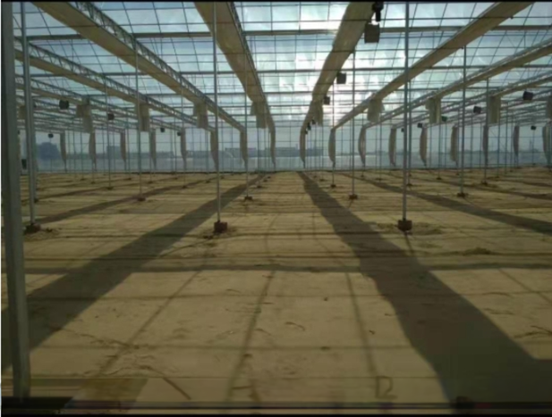 Hot Dip Galvanized Steel Tube Frame Multi Span Agricultural Greenhouse