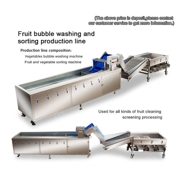 Fruit bubble washing and sorting production line Fruit Vegetable FOOD processing production Machine