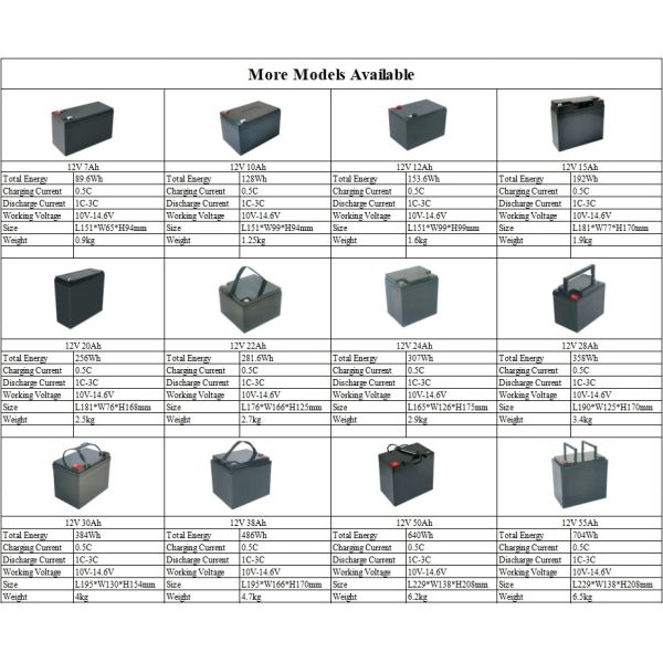 Customized LiFePO4 12V Lithium Ion Rechargeable Battery Pack For Various Applications