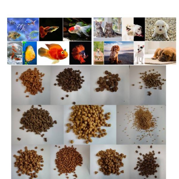 Automatic Extruder Feed Puffing Production Line 50 kg / h to 5000 kg / h