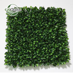 China high quality artificial grass Green Wall Vertical Garden Artificial Plant Grass Wall 1m*1m on sale
