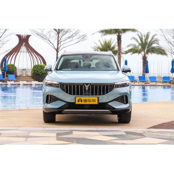 Dongfeng Voyah "free" electric SUV Wheelbase 2960MM Range 500KM