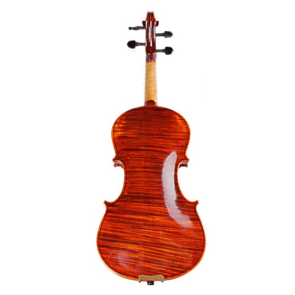 Violin china play Beethoven Violin Sonata No.5 Universal Violin Accessories Professional Use Classical Box For Violin