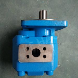 China OEM Hydro Gear Hydraulic Pumps / High Precision Cast Iron Gear Pump on sale