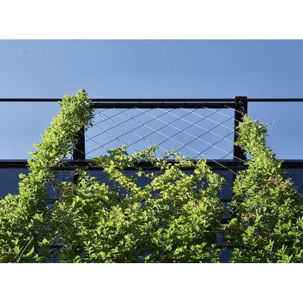 Stainless Steel Rope Mesh Is A Safe And Beautiful Architectural Cable Mesh