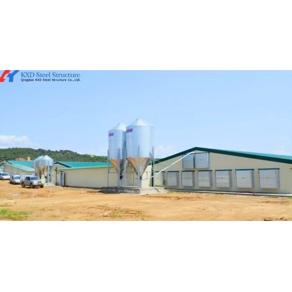 Hot-dip Galvanized Automatic Broiler Chicken Cage System with Adjustable Vents and Corrosion Resistant Design