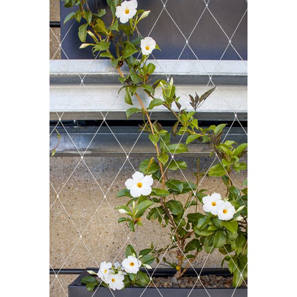 flexible mesh SS Wire Trellis Fencing CE Approved Outdoor For Architectural