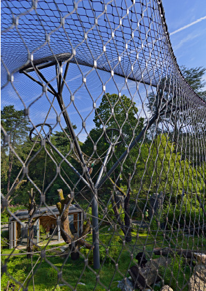 Stainless Steel Wire Rope Mesh For Cable Mesh Zoo Fence / Plant Climbing Forest Net