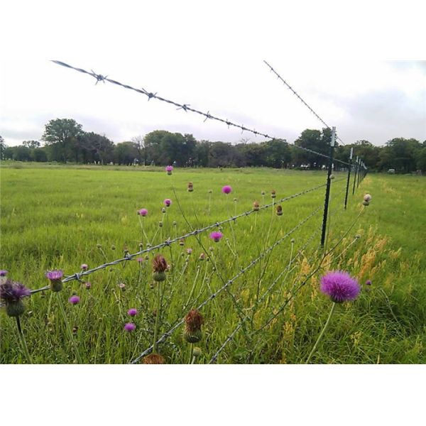 Green Pvc Coated Double Strand Twisted Barbed Wire Farm Use
