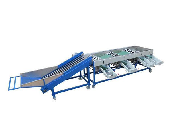 garlic grading machine,garlic sorting machine,onion garding machine,onion sorting machine